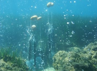 Workshop sur l'acidification des océans