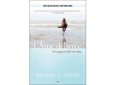 L'âme délivrée, un voyage par-delà vous-même