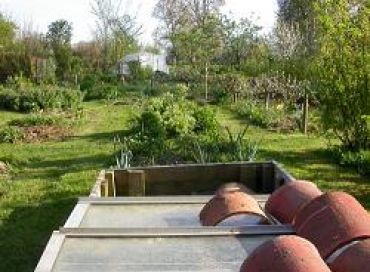 Les chroniques potagères : l'association légumes-fruits 