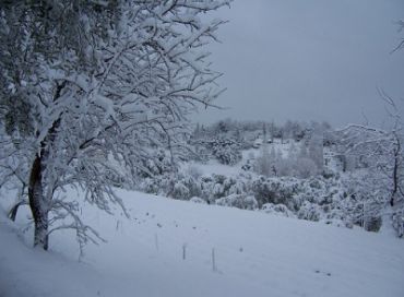 Le mois de janvier en biodynamie dans votre jardin