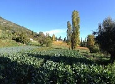 Entretenir son jardin en biodynamie au mois de novembre