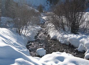 Les bonnes résolutions de janvier