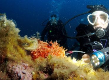 Monaco Green au mois d'août : cap sur la Méditerranée