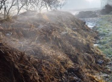 Le compost, base de la fertilité du jardin