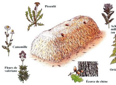 Biodynamisez votre compost