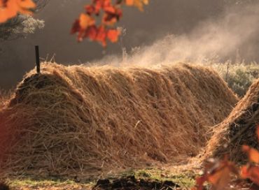 En octobre occupez-vous d'un être vivant dans votre jardin : le compost ! 