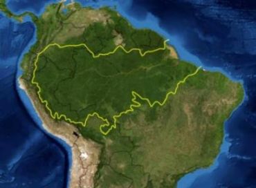 Préserver la forêt amazonienne