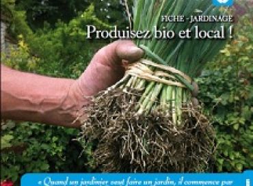 Jardinage écofrugal : produisez bio et local