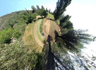 Le mois de juin au jardin biodynamique 