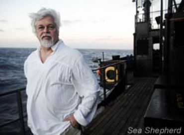 Episode 1: Les origines de Sea Shepherd