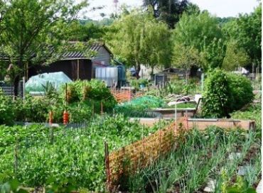 Jardins urbains : diversité et utilités