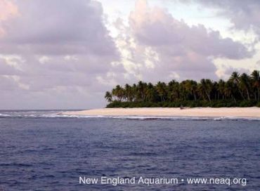 Protéger les îles Phoenix pour comprendre les changements climatiques