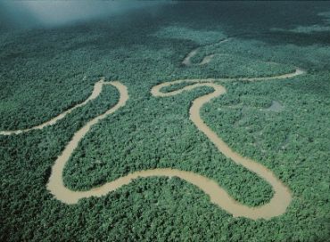 La préservation des forêts du Pérou amazonien