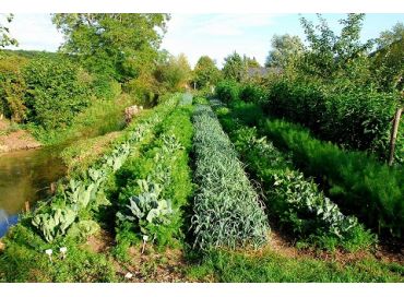 L'importance de la rotation et de l'association des cultures au potager biodynamique 