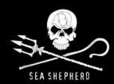 Seashepherd Episode 21: Mission Antarctique