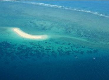 La sauvegarde de Toliara