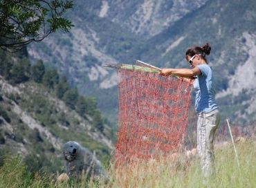 Annabelle Jaeger entre loups et bergers