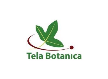 Tela Botanica