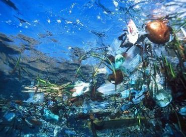 Un Sixième continent fait de plastique