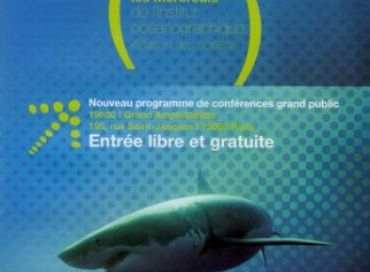 Requins: Au delà du malentendu