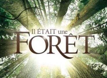 Il était une forêt