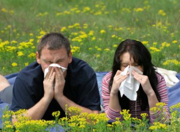 Pourquoi tant d'allergies ?