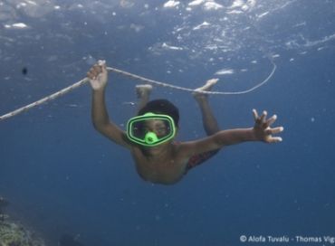 Tuvalu Marine Life