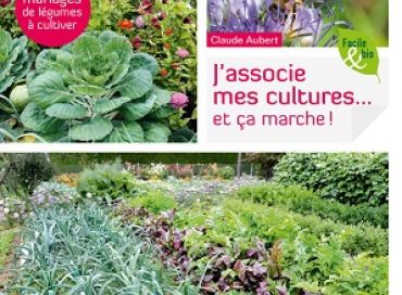 J'associe mes cultures... et ça marche ! 