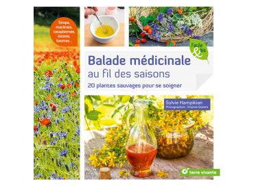 Balade médicinale au fil des saisons