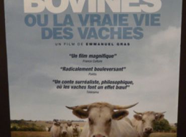 Sortie du film BOVINES