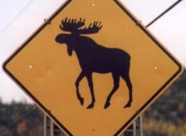 Qui est responsable de la disparition des Caribous du grand nord canadien?