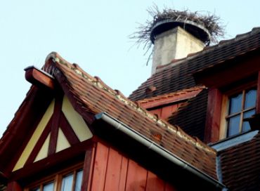 Un projet de digesteur au lycée agricole d'Obernai