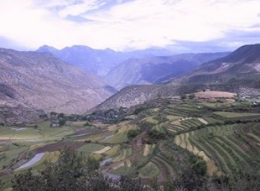 Manger bio en Chine