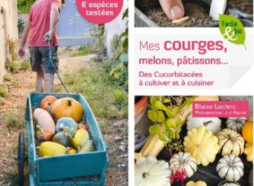 Mes courges, melons et pâtissons