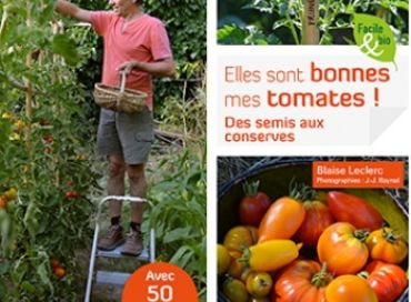 Elles sont bonnes mes tomates