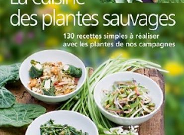 La cuisine des plantes sauvages 