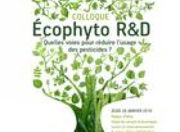 Ecophyto R&D : 30% de pesticides en moins c'est possible !