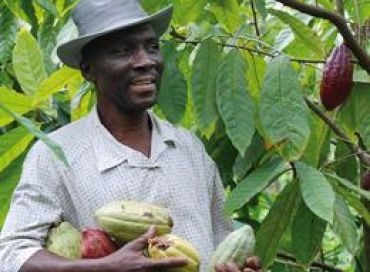 Coopérative Feccano, reconstruire une filière en Haïti 