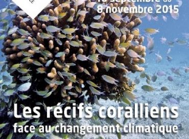 Exposition « Les récifs coralliens face au changement climatique »