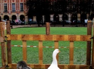 Une ferme éphémère place des Vosges à Paris