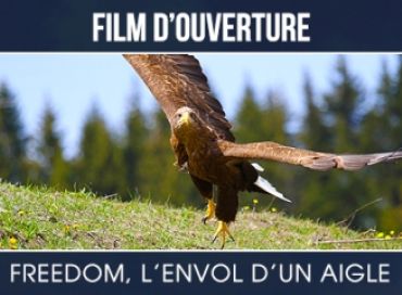 Freedom L'envol d'un aigle