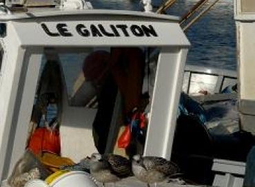 Vie quotidienne d'un pêcheur en Méditerranée