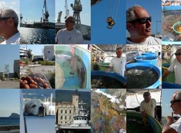 Gérard Carrodano, défenseur de la petite pêche en Méditerranée