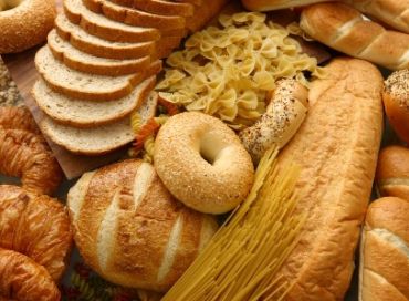 Tout sur le gluten