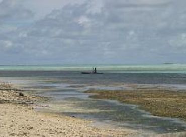 Les îles Carteret sont en danger