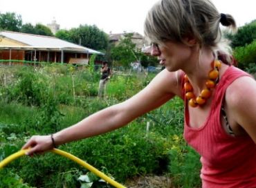 Un jardin où on partage plus que des légumes