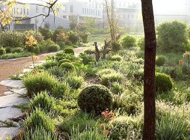 Le jardin en mouvement de Gilles Clément et les plantes envahissantes