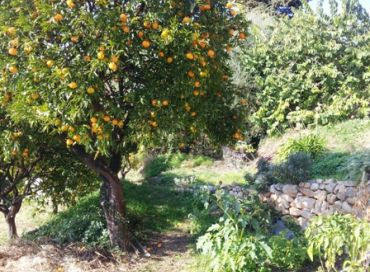 Les jardins des antipodes