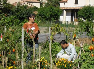 Les jardins solidaires du Pigeonnier Barbejas 