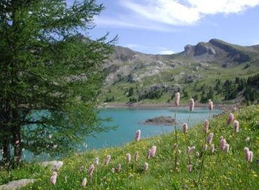 Les Alpes de la Mer pourraient être classées par l'UNESCO